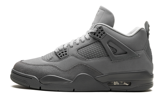 Air Jordan-Air Jordan 4 Wet Cement-StoreGoods