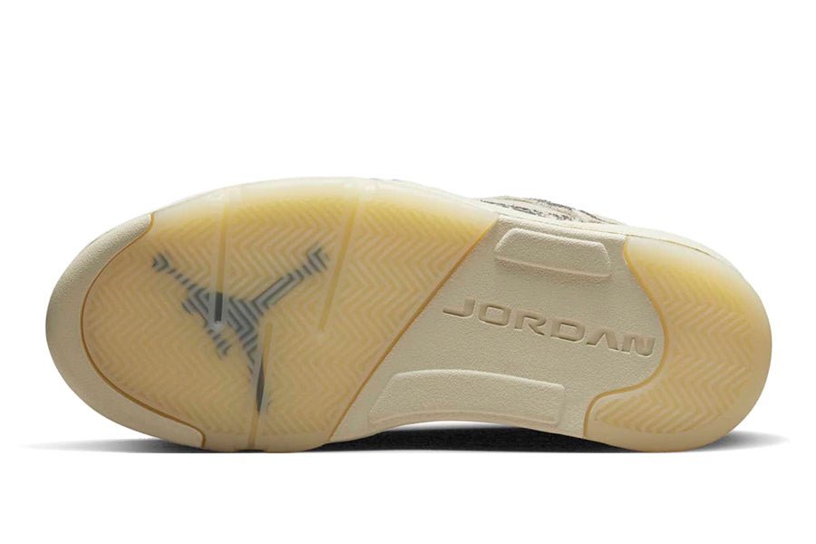 Air Jordan-Air Jordan 5 Low Expression-StoreGoods