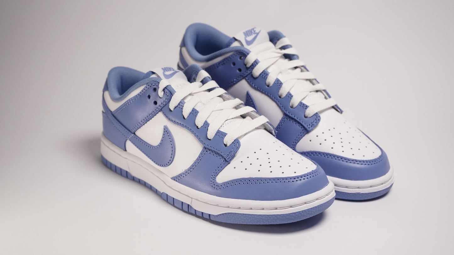 Dunk Low Polar Blue